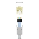 TGES002038_2