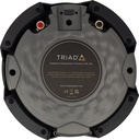 THOM002896_2