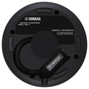 TAUD001527_3