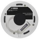 TAUD001528_3