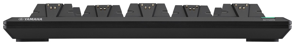 TAUD001636_2
