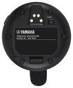 TAUD001635_2