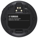 TAUD001632_2