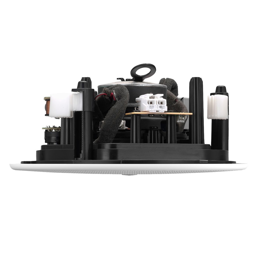 TAUD001568_4