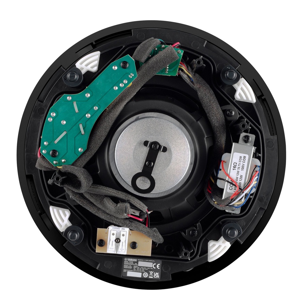 TAUD001565_2