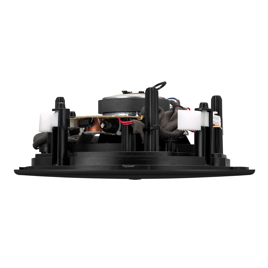 TAUD001565_3