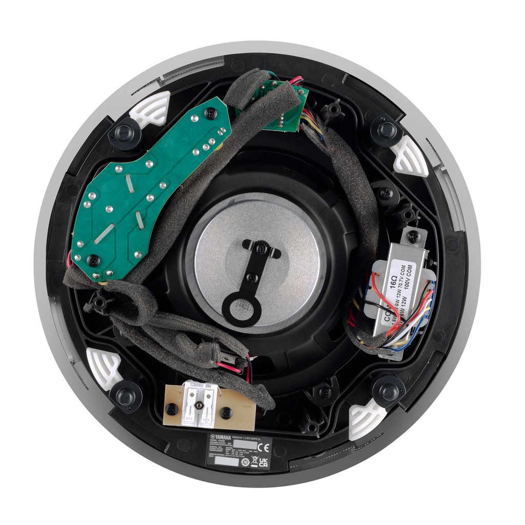 TAUD001566_2