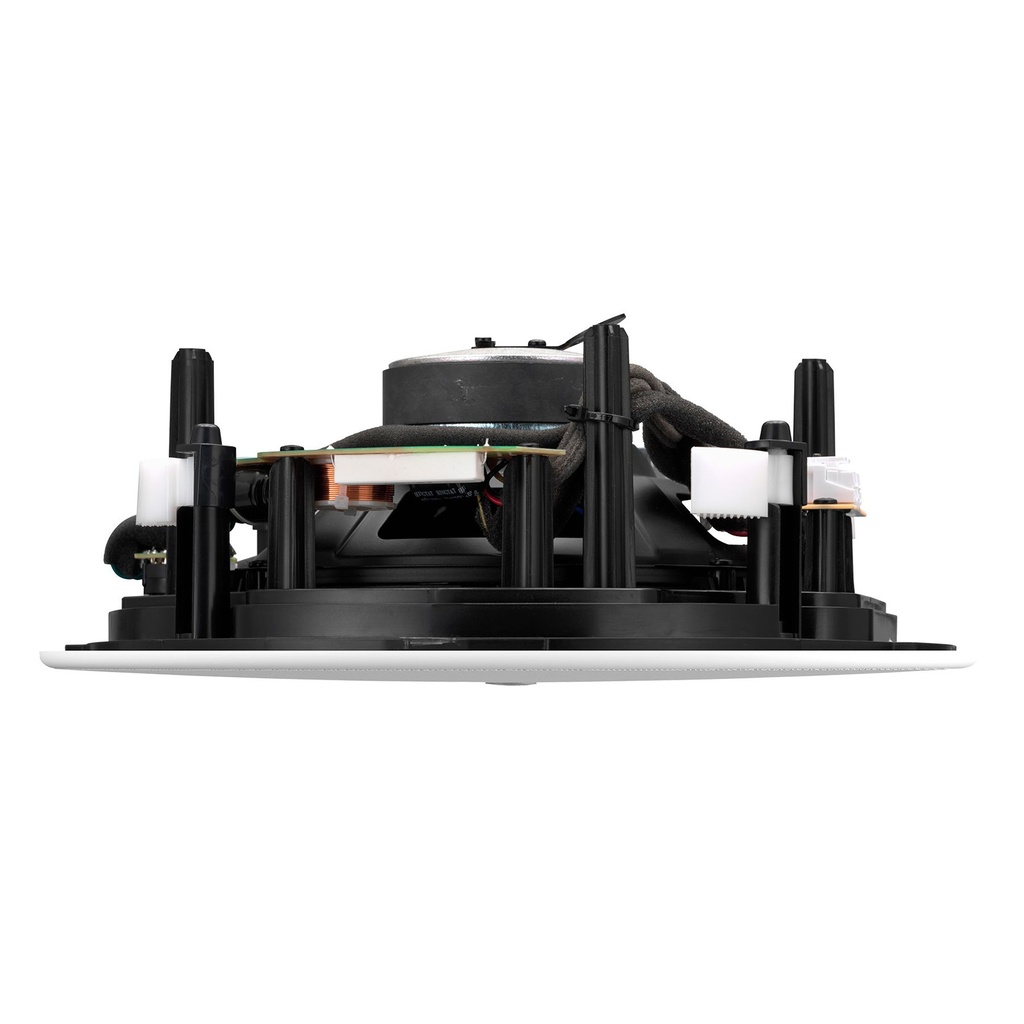 TAUD001564_3