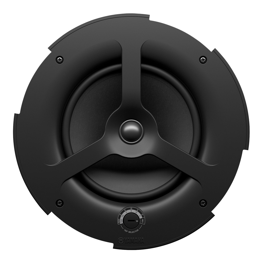 TAUD001564_5