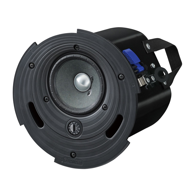 TAUD000906_3