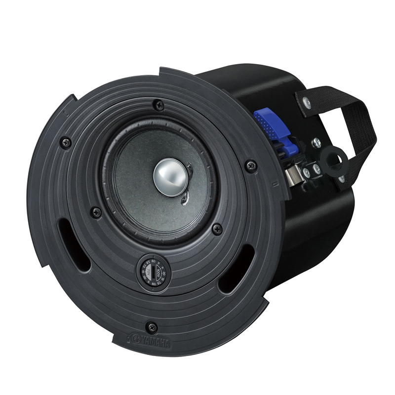 TAUD000907_3