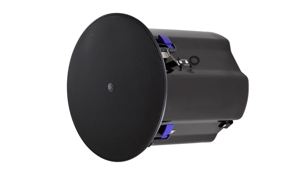 TAUD001482_2