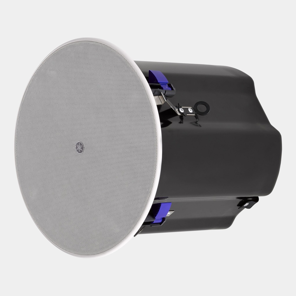 TAUD001483_2
