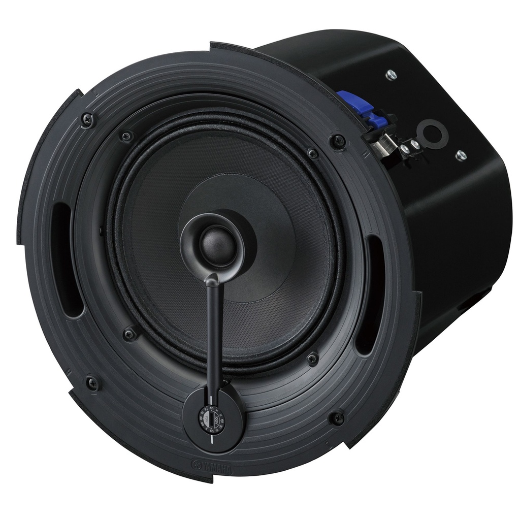 TAUD001439_2