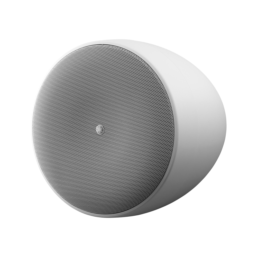 TAUD001691_2