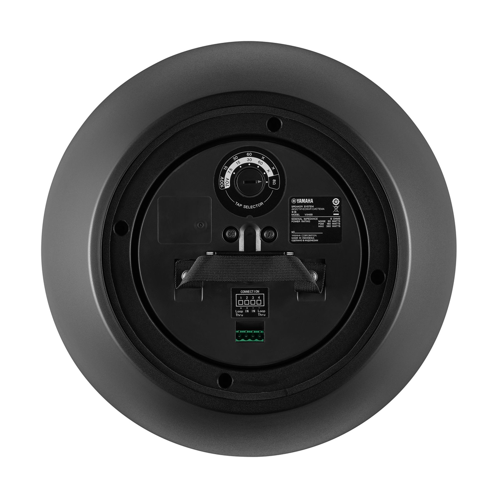 TAUD001688_3