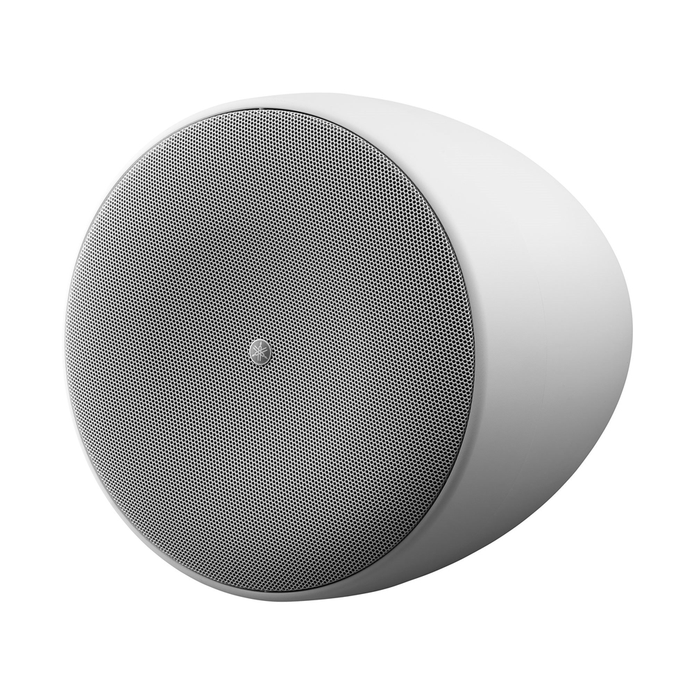 TAUD001689_2