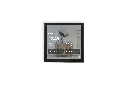 01.webp