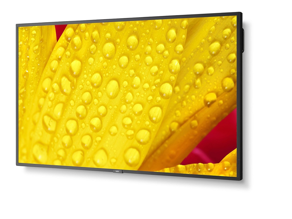 TPLC001588_2