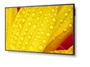 TPLC001588_2