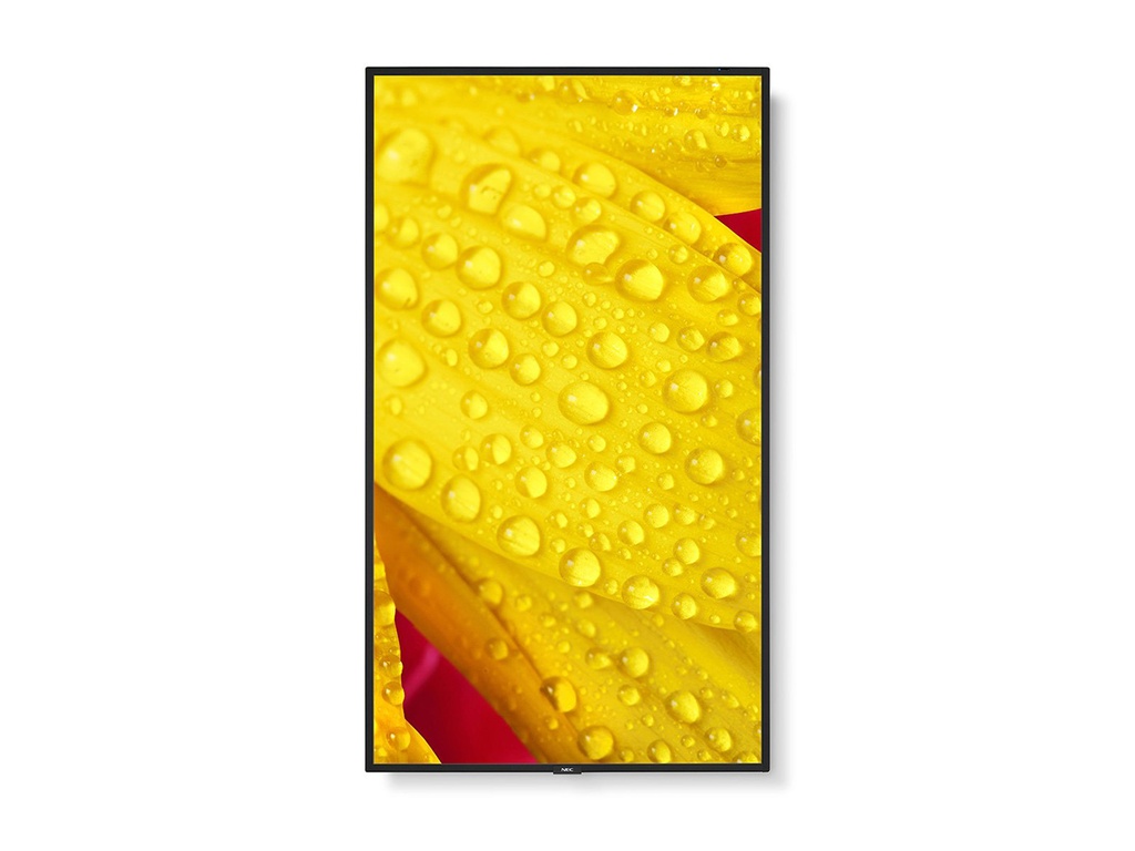 TPLC001588_3