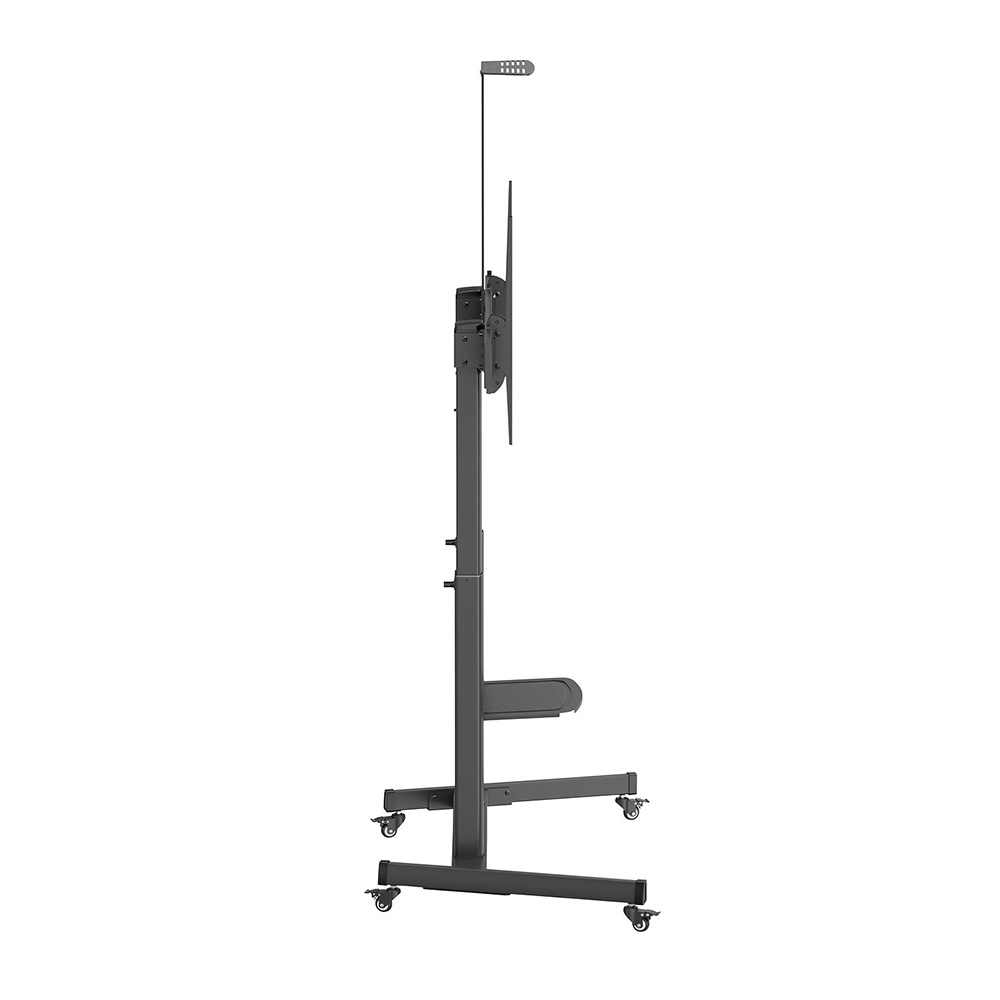 TPLC001729_3