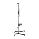 TPLC001730_2