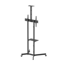 TPLC001730_3