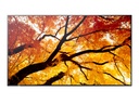SHARP M502 Monitor D-LED 50", UHD, 24/7, 550 cd/m2