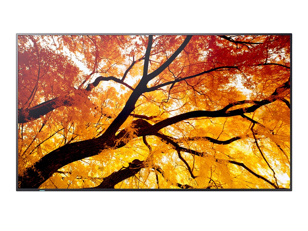 SHARP M552 Monitor D-LED 55", UHD, 24/7, 550 cd/m2