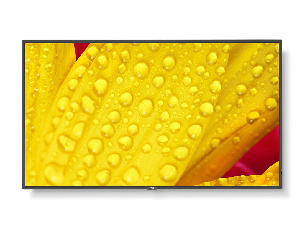 SHARP M651-2 Monitor D-LED 65", UHD, 24/7, 500 cd/m2