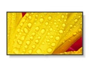 SHARP M651-2 Monitor D-LED 65", UHD, 24/7, 500 cd/m2