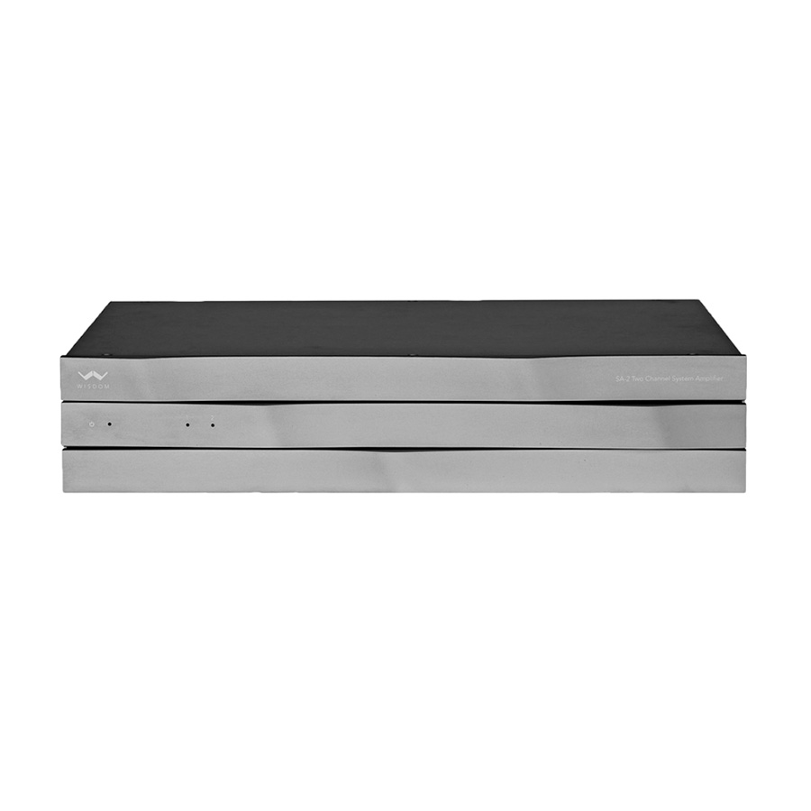 WISDOM SA-2 Amplificatore di potenza