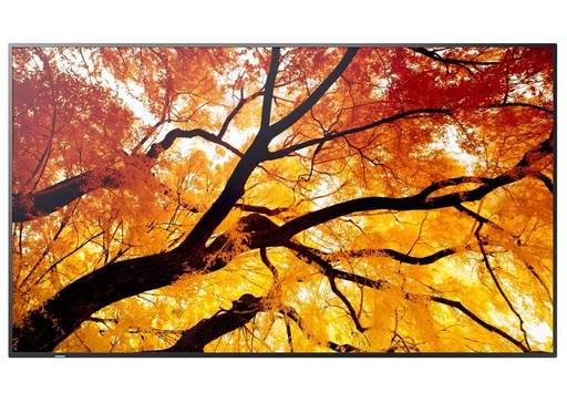 [TPLC001584] SHARP ME652 Monitor D-LED 65",  UHD, 18/7, 450 cd/m2